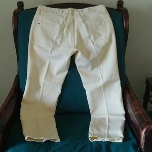 Ann Taylor Loft jeans